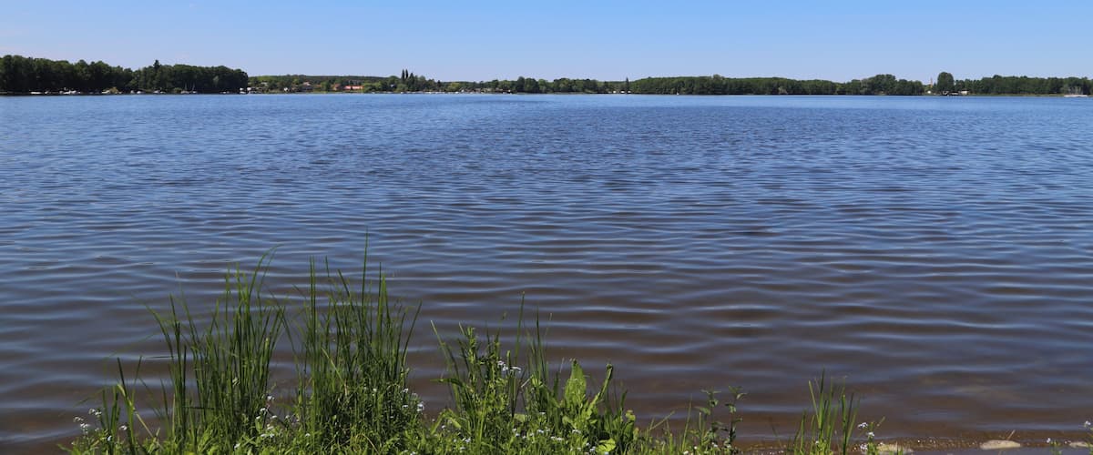 A calm lake with clear blue water, surrounded by greenery and a distant shoreline with buildings.