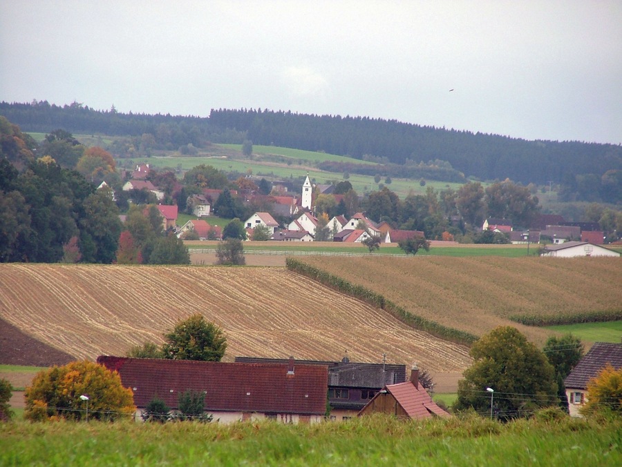 A rural village with a prominent church tower, surrounded by fields and a forested hill.