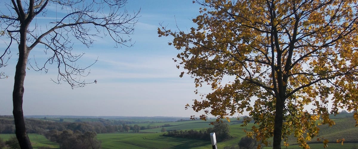 A rural landscape with a clear sky, a mix of leafless and autumn-colored trees, and rolling green fields.