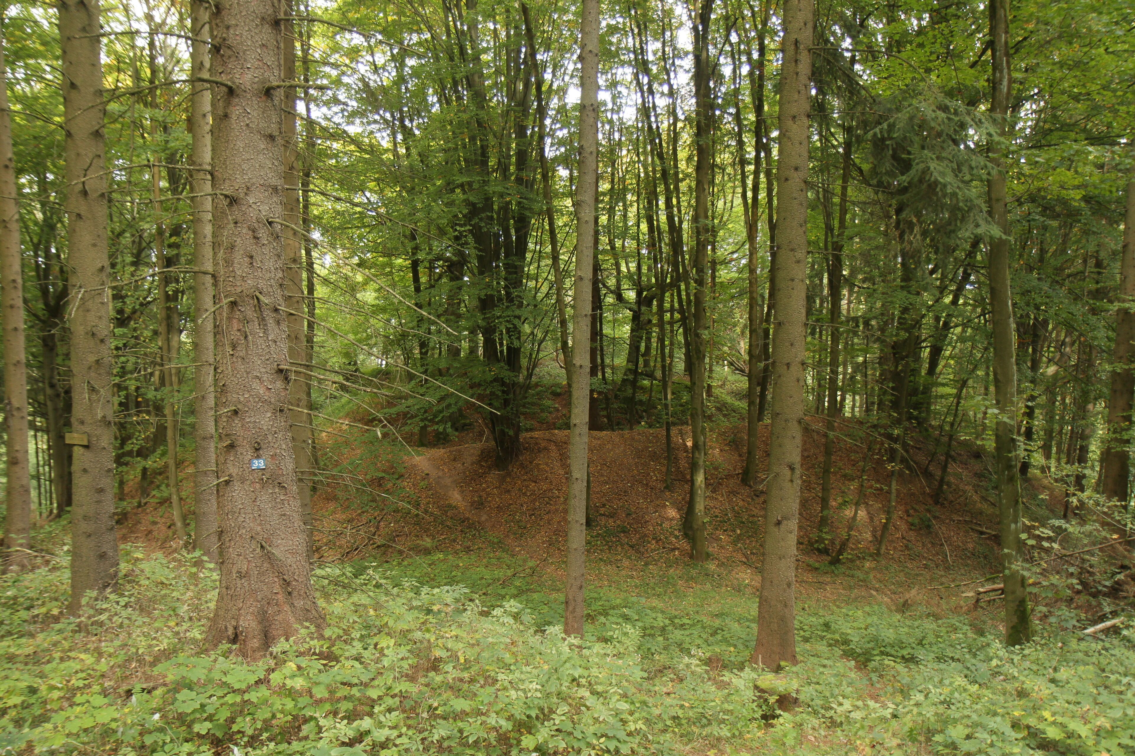 Ansicht des Burgstalles aus südwestlicher Richtung