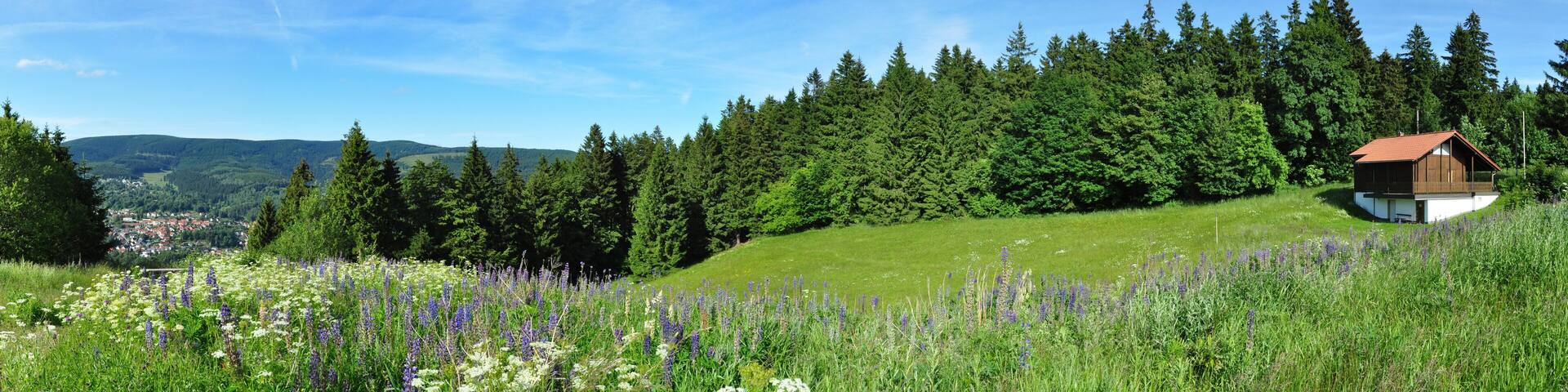 Panoramafoto Thüringer Wald