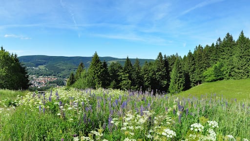 Schmiedefeld am Rennsteig