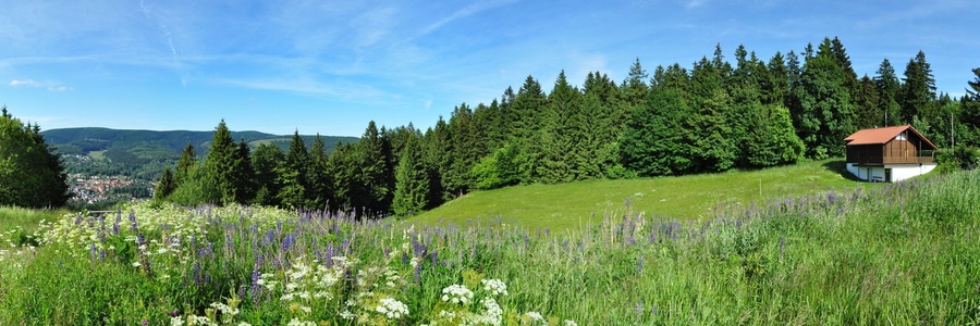 Panoramafoto Thüringer Wald