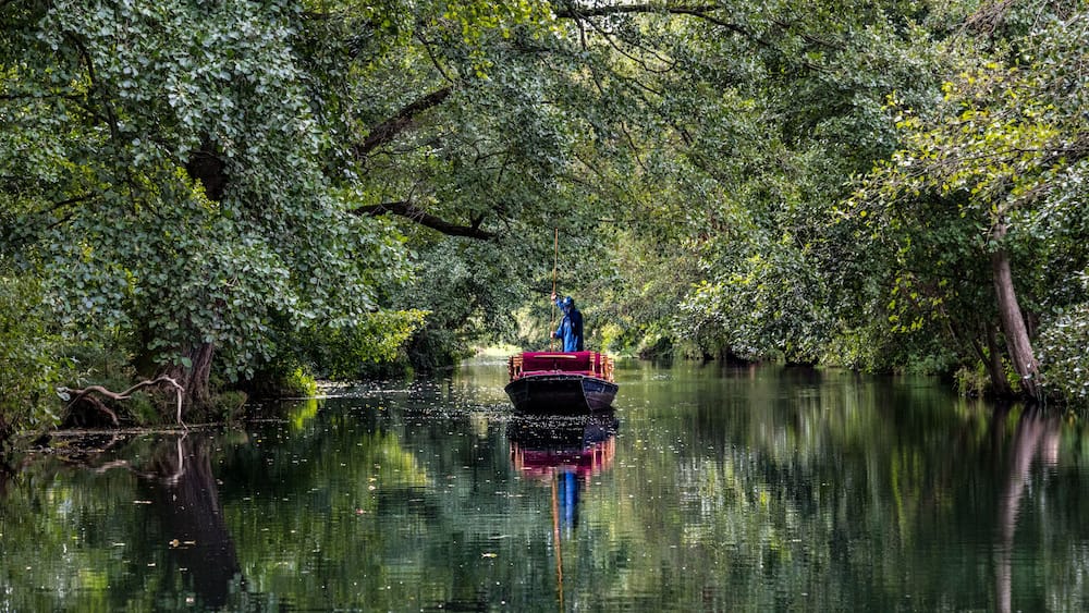Ein Boot auf einem ruhigen Fluss, umgeben von dichtem Grün.
