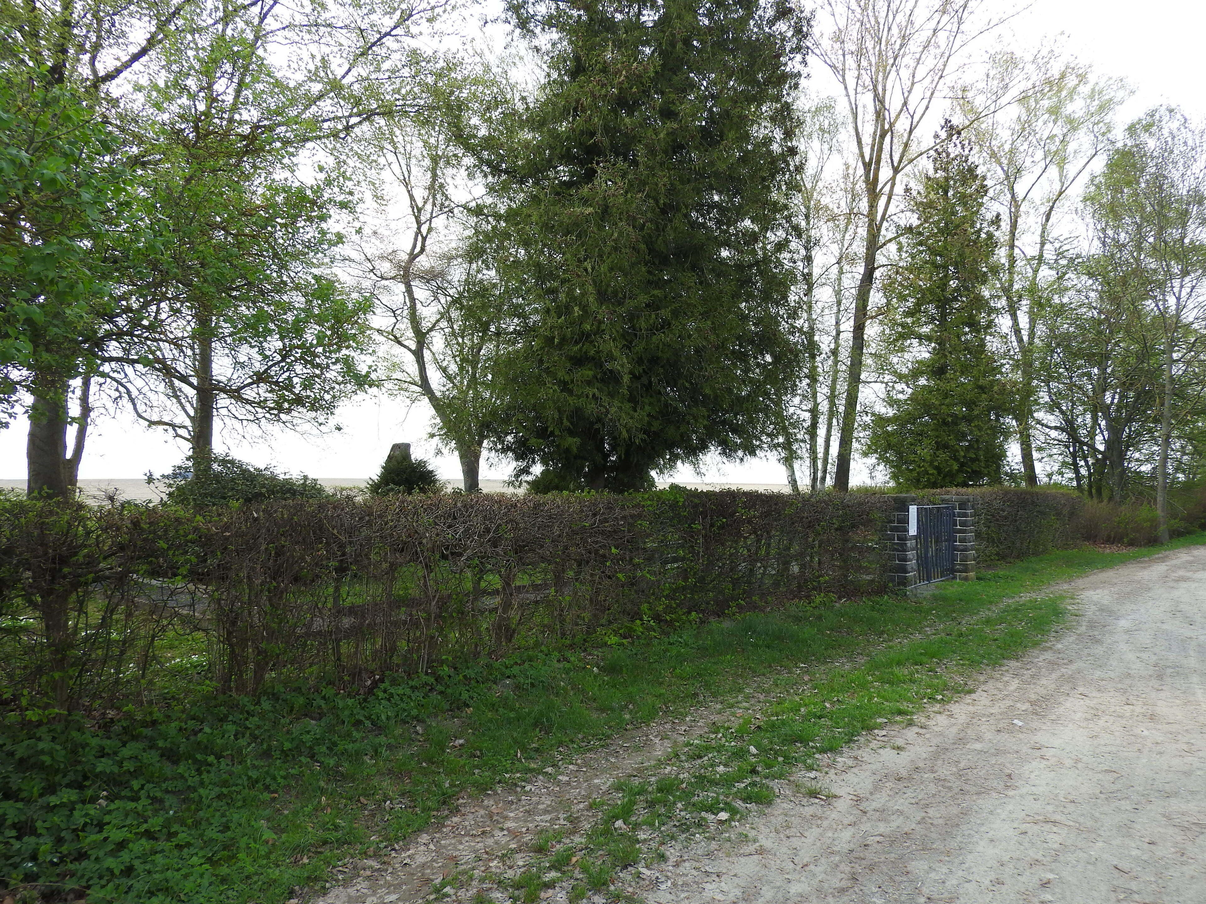 A rural dirt road flanked by dense hedges and trees.
