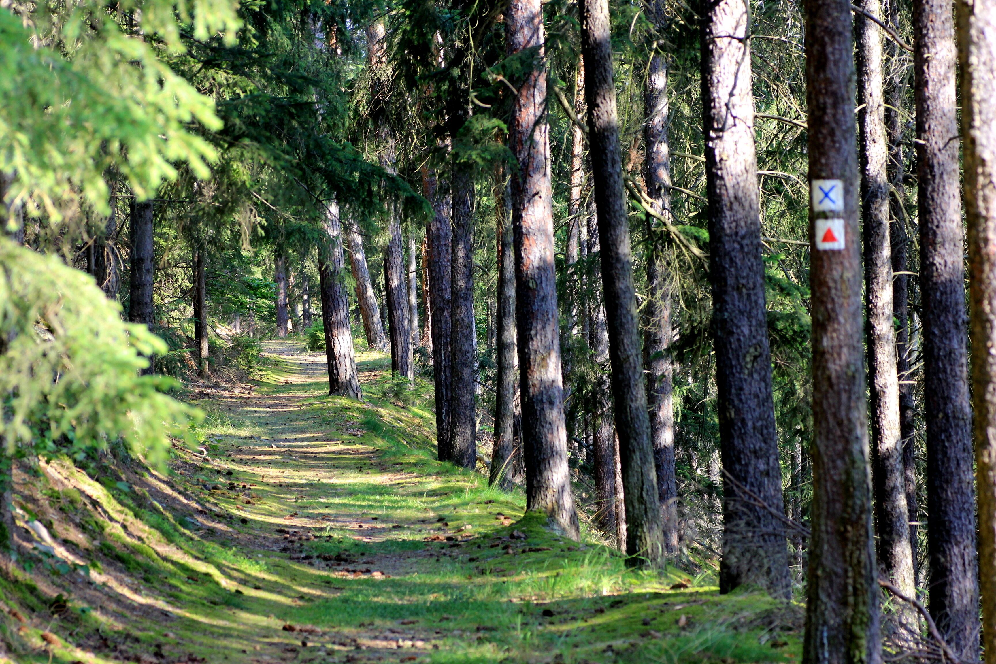 This is a picture of the protected area listed at WDPA under the ID