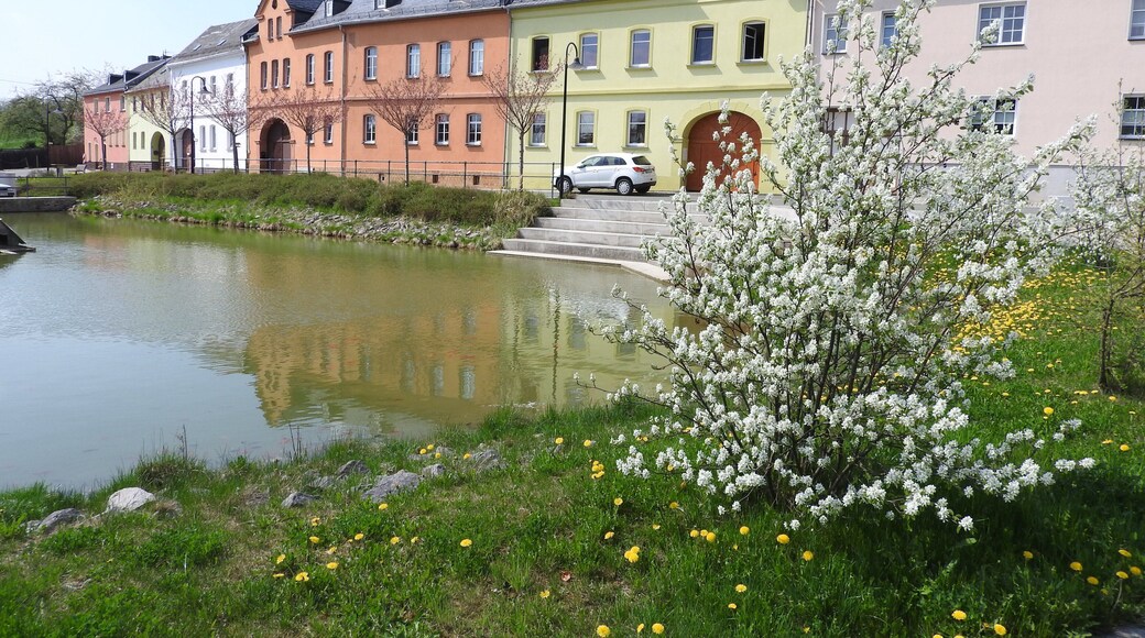 Teich in Gräfenwarth, Thüringen