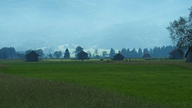 EU-Vogelschutzgebiet Loisach-Kochelsee-Moore (8334-471)