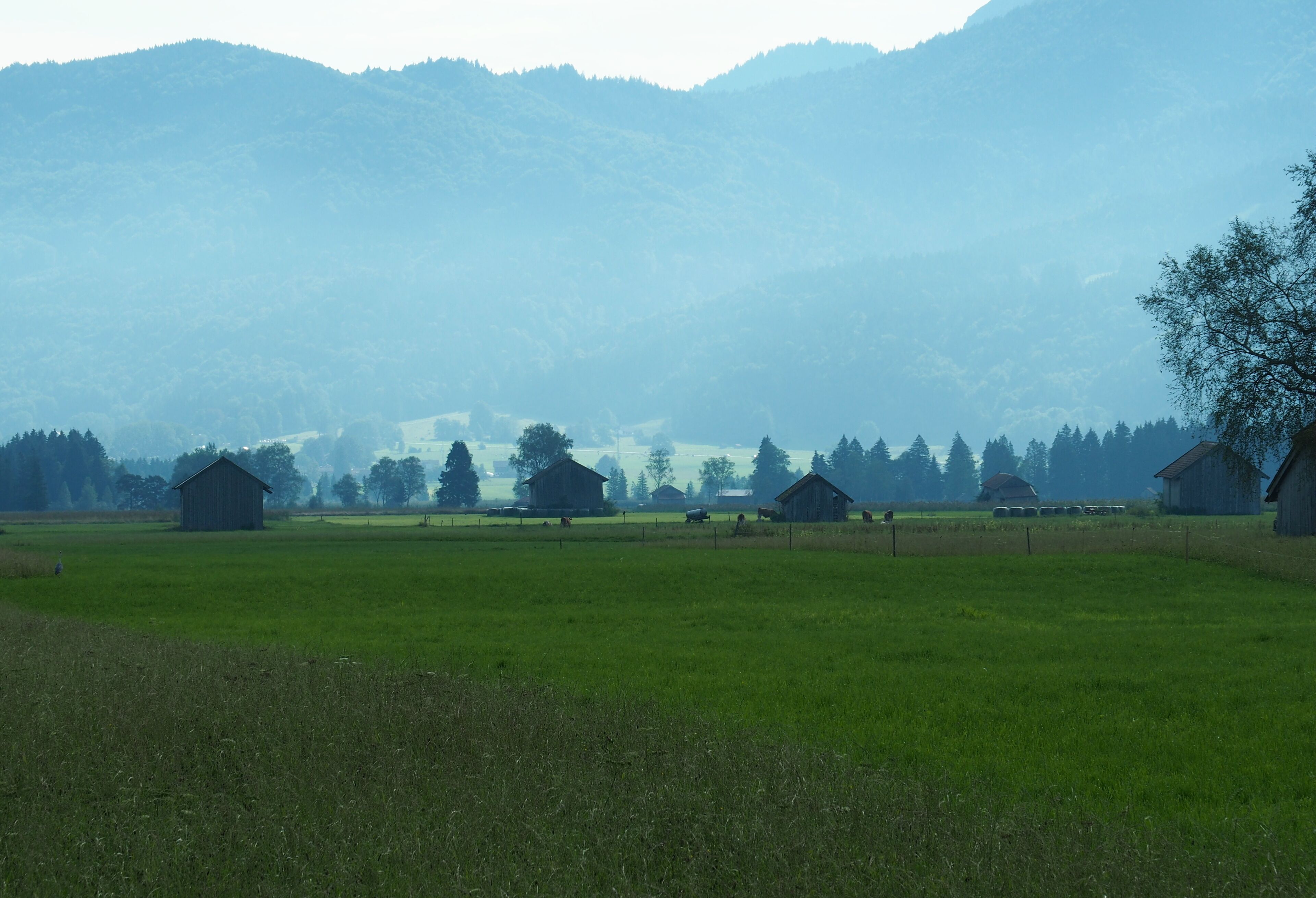A rural landscape with green fields, several wooden barns, and a mountain range in the background.