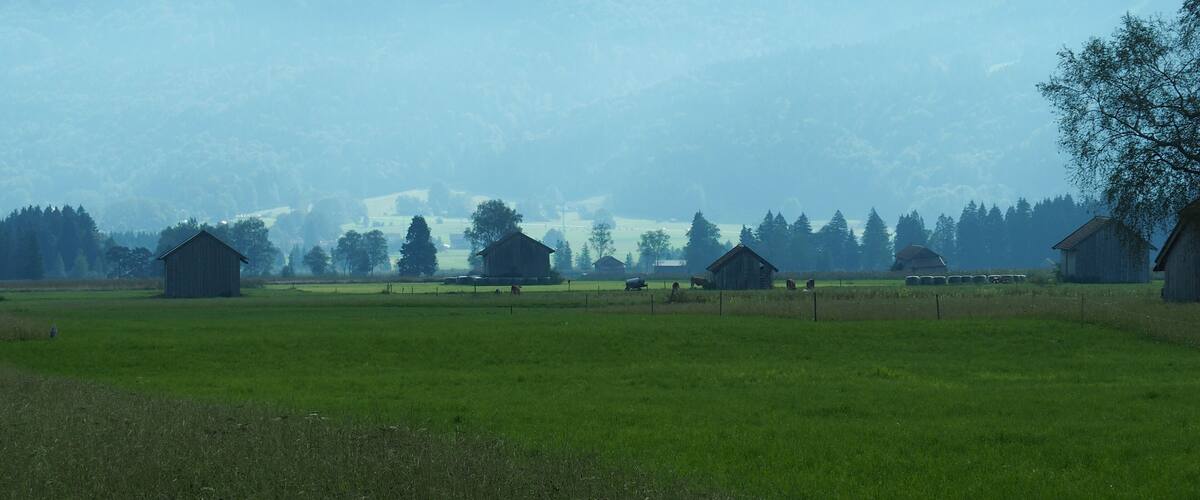 A rural landscape with green fields, several wooden barns, and a mountain range in the background.