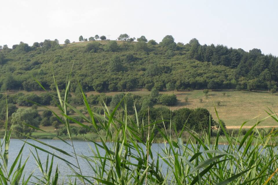 Un lago circondato da vegetazione lussureggiante e una collina alberata.