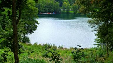A lake surrounded by dense forest and a small dock with boats.