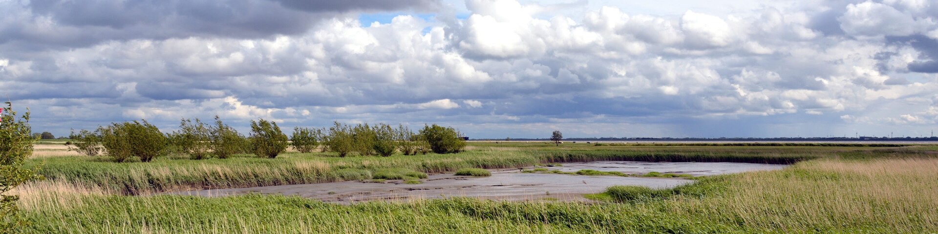 This image was uploaded as part of Wiki Loves Earth 2015.