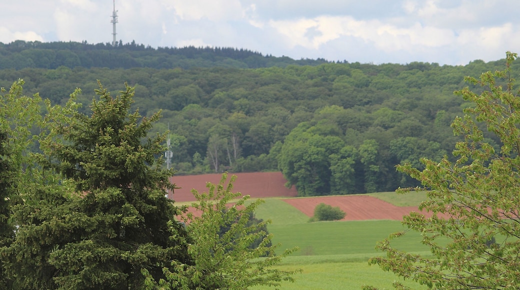 Reisbach (Saarwellingen), view to the mountain Hoxberg