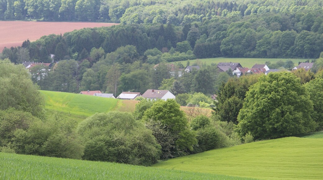 Reisbach (Saarwellingen), view to Labach