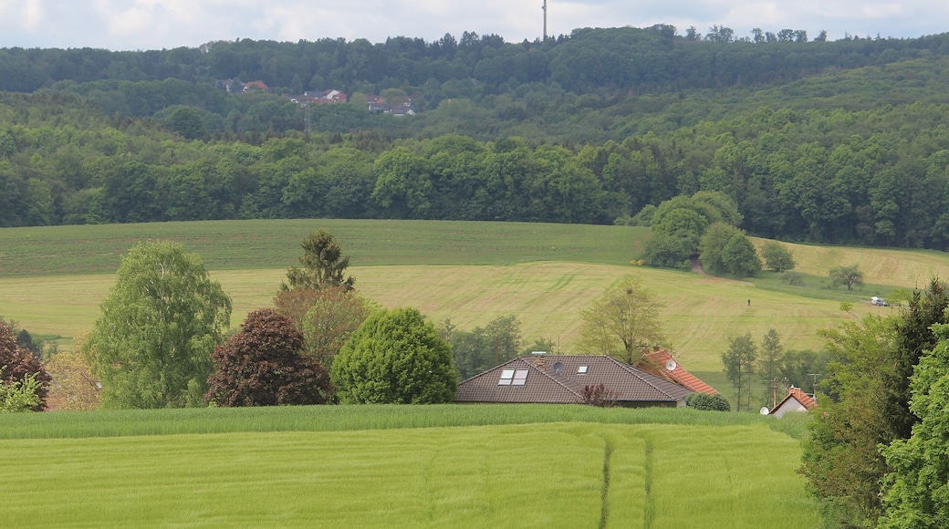Reisbach (Saarwellingen), view to village and mountain Hoxberg