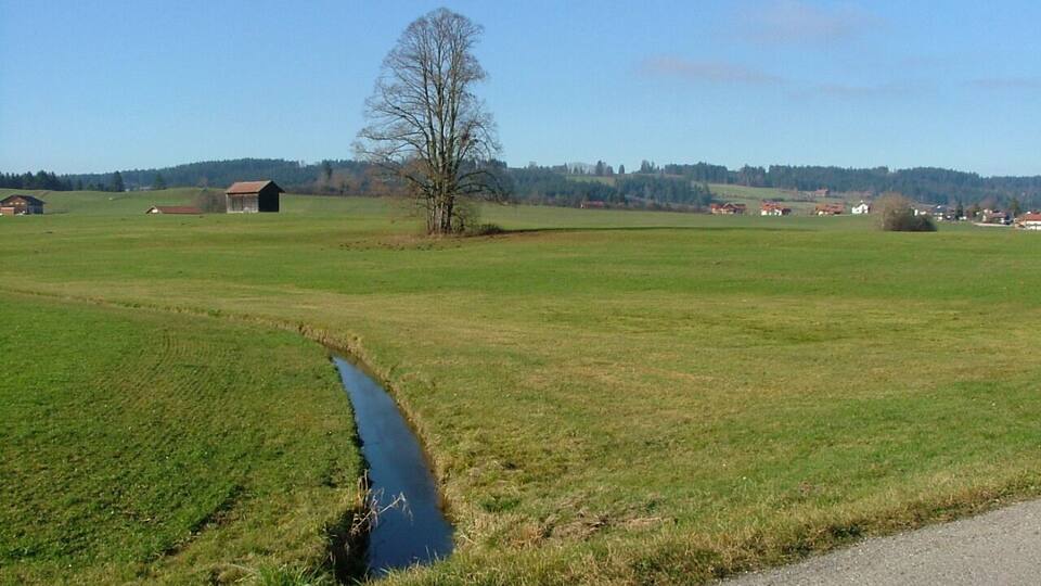 A rural landscape with a narrow water channel, a leafless tree, and scattered farm buildings.