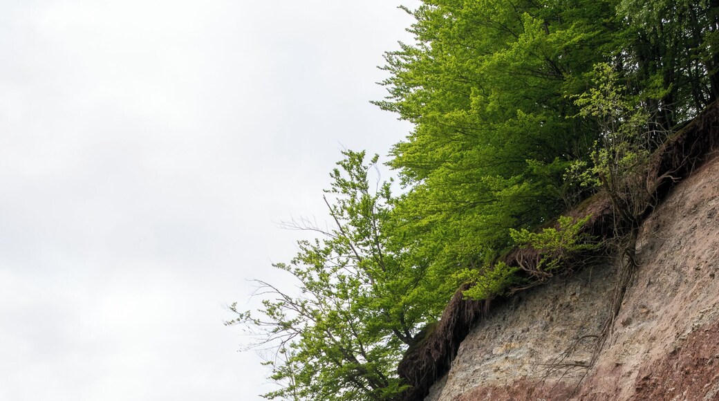 Mergelkuhle am Rischenauer Isenberg im Naturpark Teutoburger Wald/Eggegebirge
