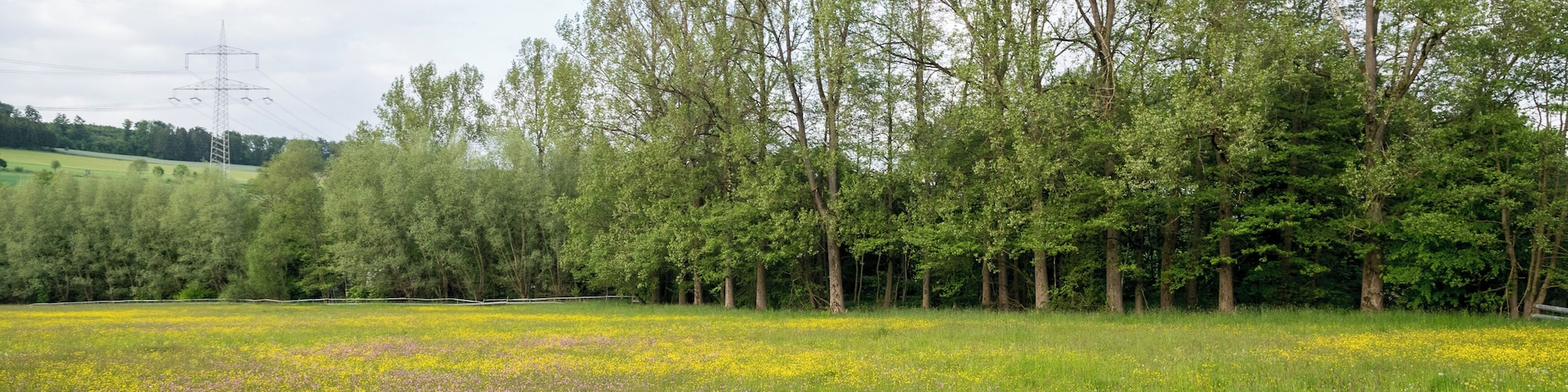 Naturschutzgebiet Ilsenbach, Lügde, Kreis Lippe; Triftwiese am Niederbach zwischen Triftweg und Kläranlage