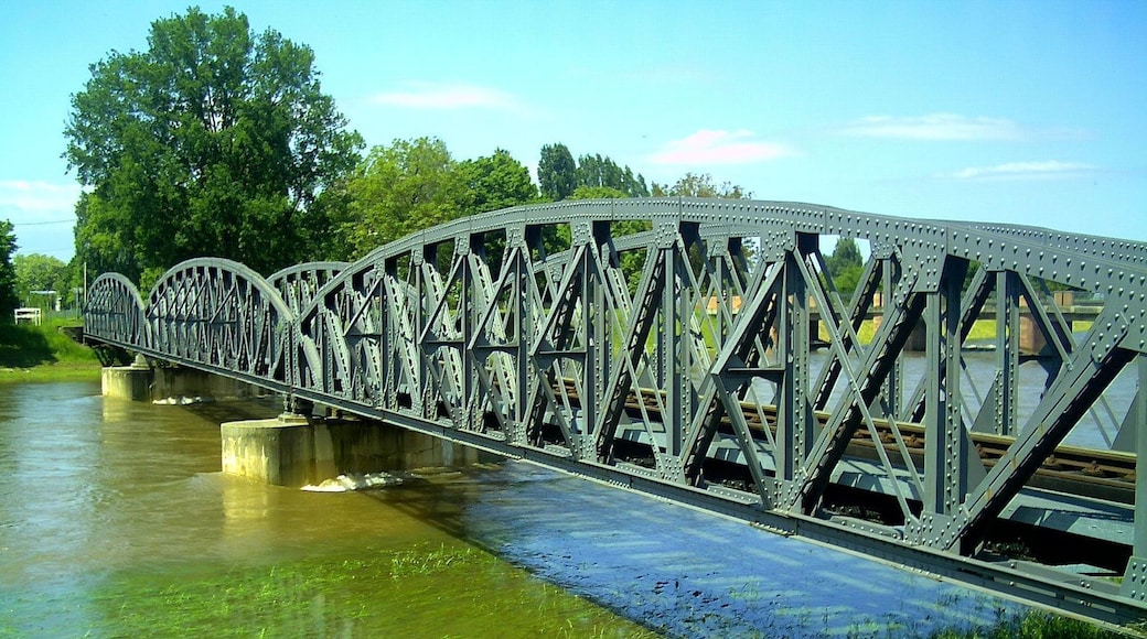 Flood Red Alert River Elz Riegel