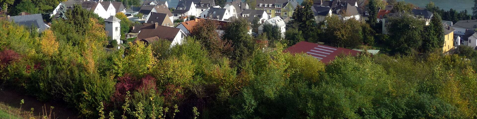 Rhens und Lahnstein - 2009-10-18