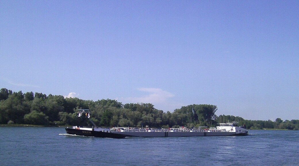 Rheinstrom bei Karlsruhe