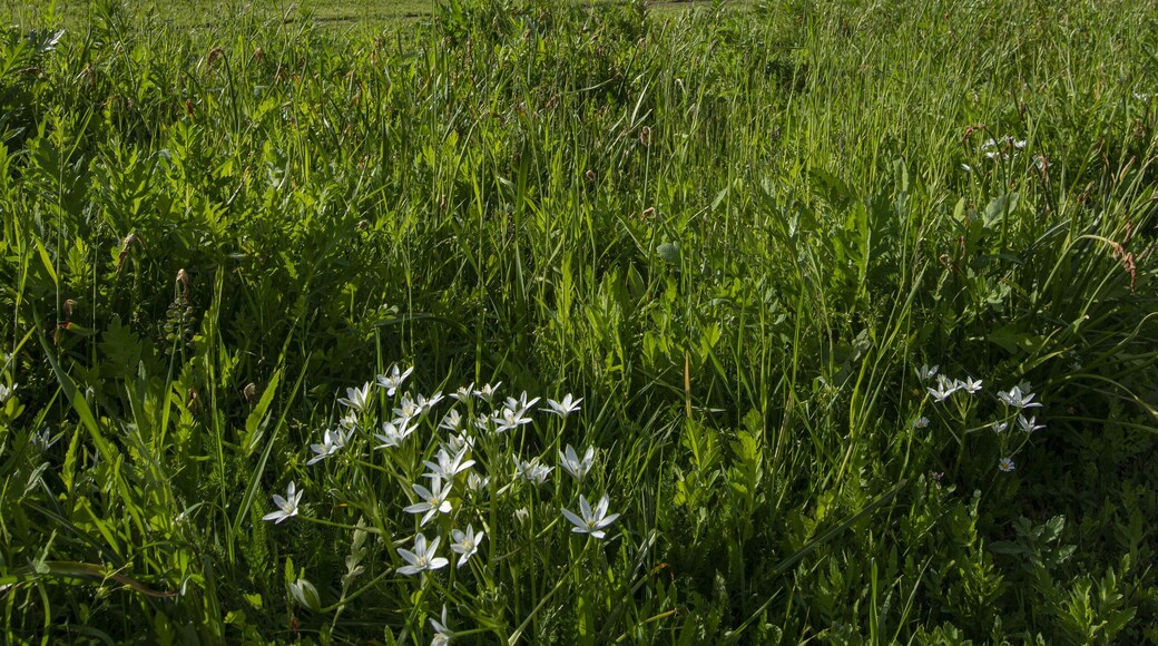 Vertical shot of Munster Schwarzach church in Rheinmunster, Germany