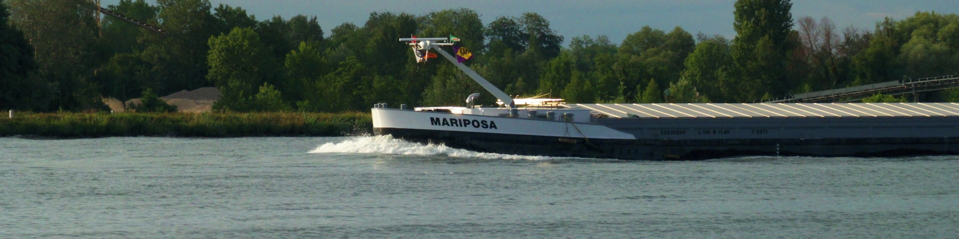 Mariposa