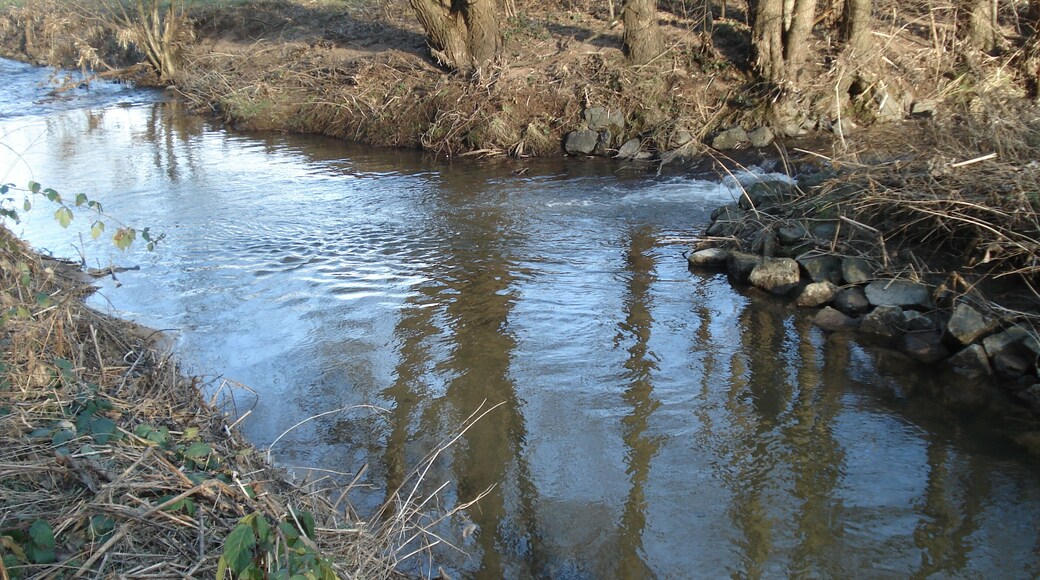 Der Mergbach (vorne) vereinigt sich mit dem Osterbach (rechts) zur Gersprenz (hinten)