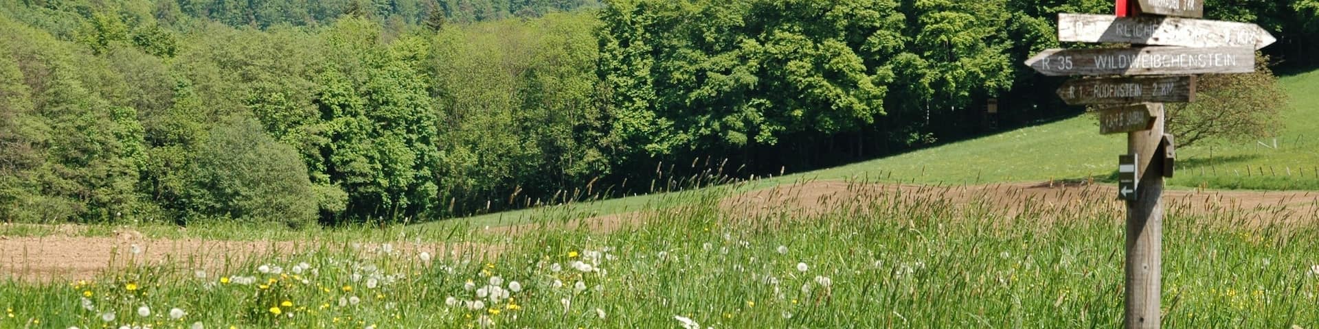 Ausblick in den Odenwald in der Nähe vom Gasthaus Zur Freiheit