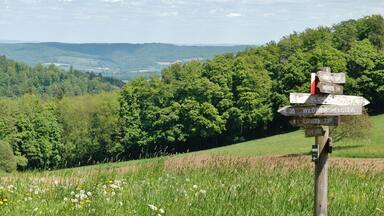 Ausblick in den Odenwald in der Nähe vom Gasthaus Zur Freiheit
