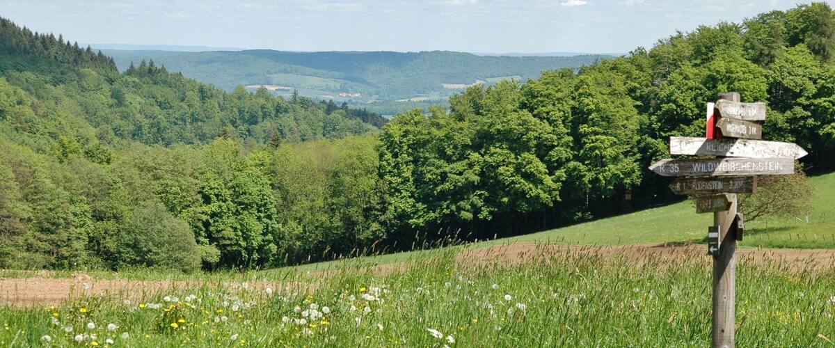 A wooden signpost with directional arrows in a lush green valley.