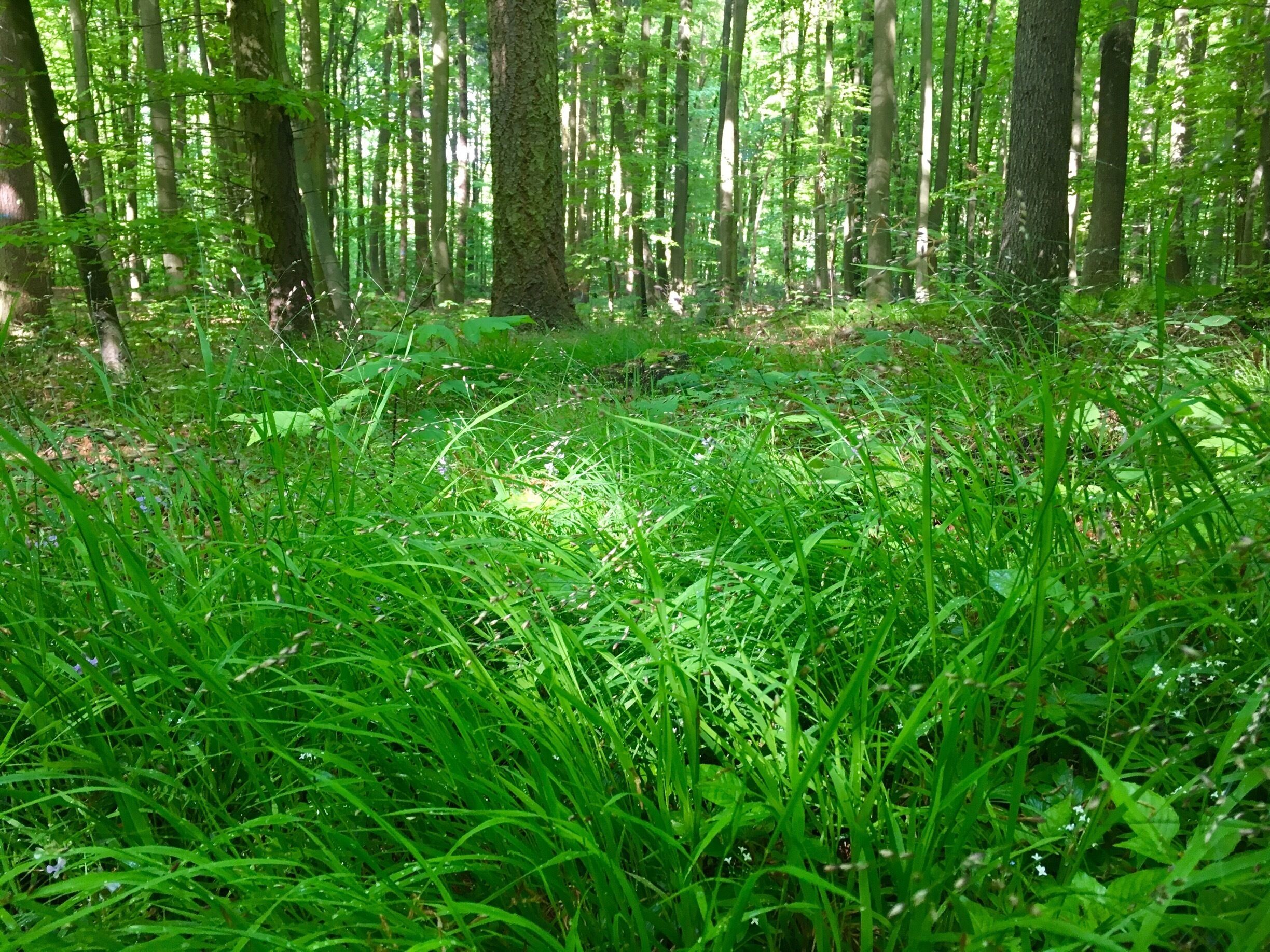 Nearby the Essigmanufaktur. First: eat in the Essigmanufaktur, second: hike and explore. Or the other way round 😉