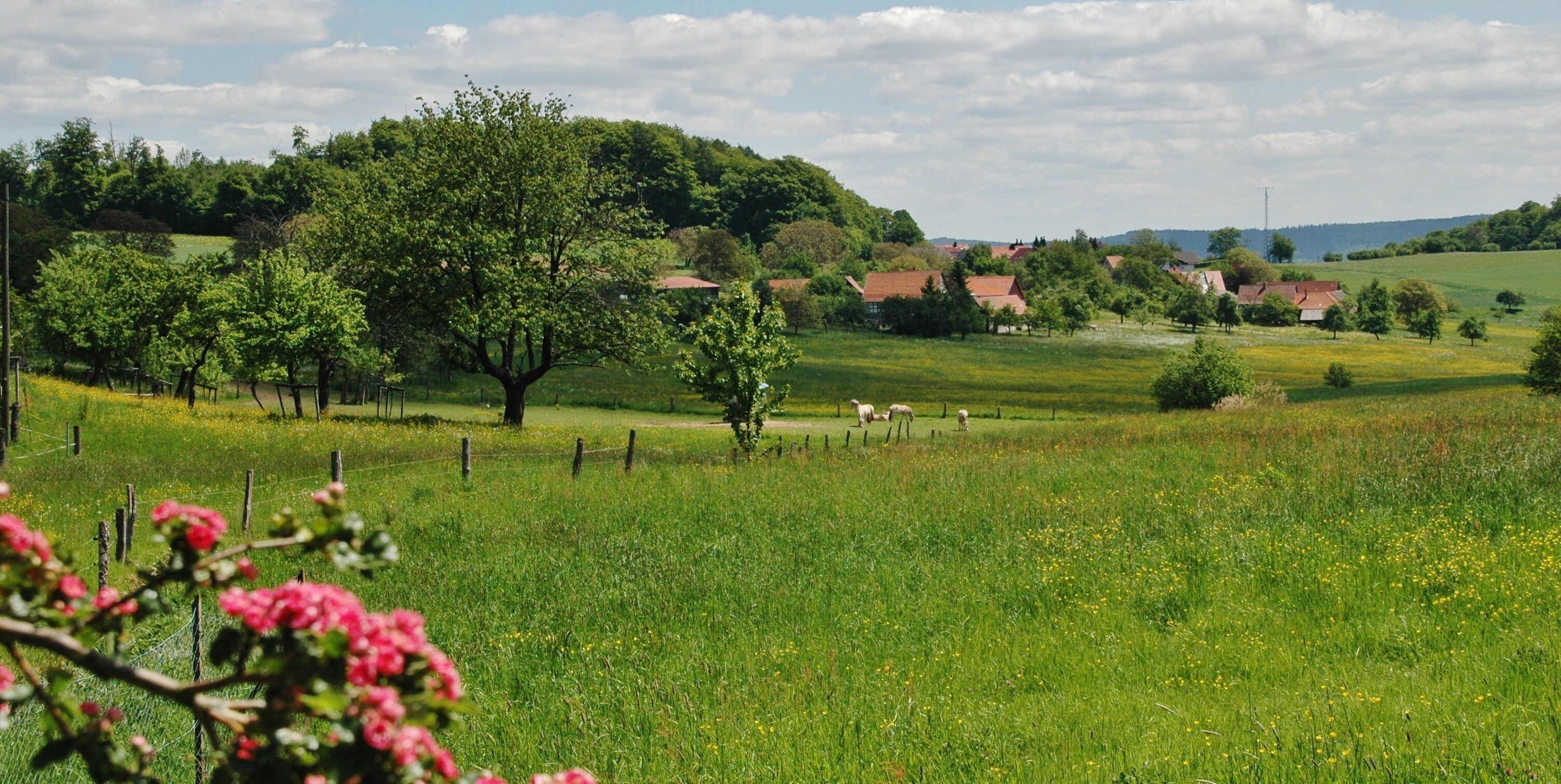 Ausblick im Odenwald in der Nähe vom Gasthaus Zur Freiheit