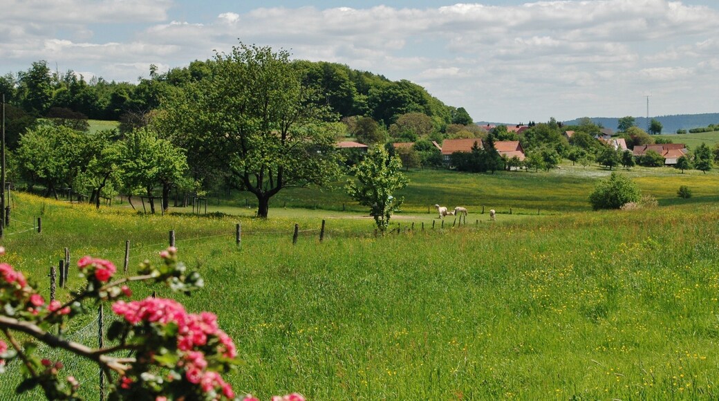 Ausblick im Odenwald in der Nähe vom Gasthaus Zur Freiheit