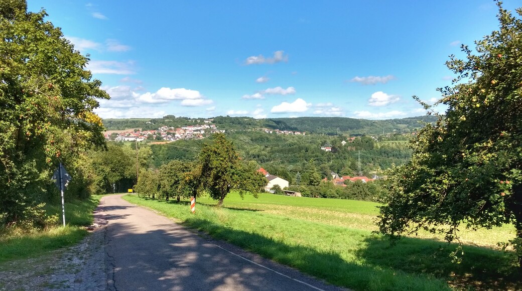 Blick von der Mariengrotte auf Fremersdorf