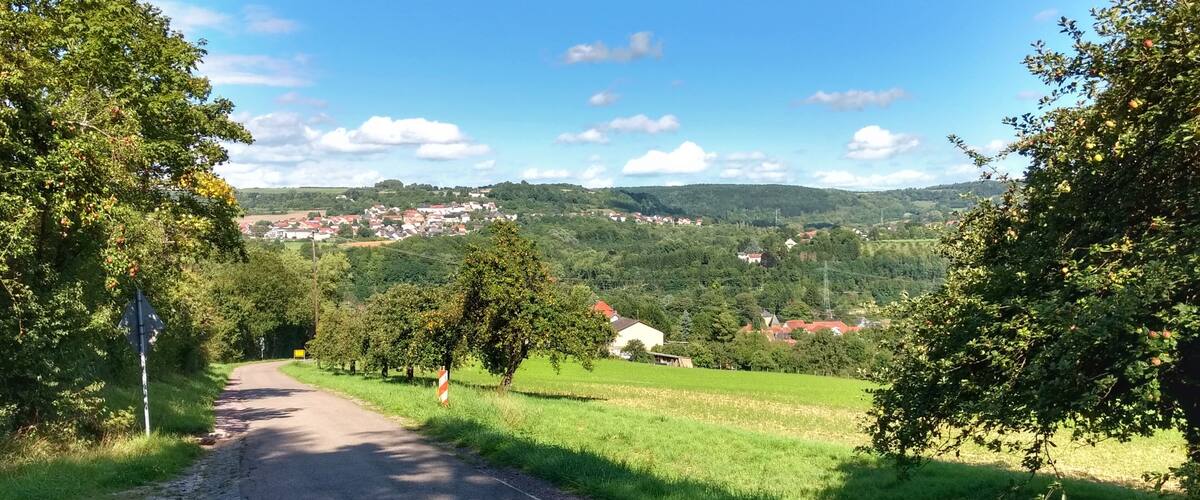 A rural road flanked by trees and fields, leading to a village in the distance.