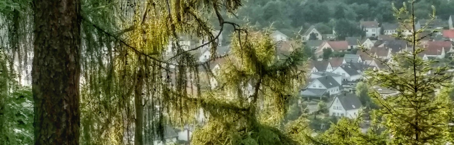 Hoesberg (Siersburg)