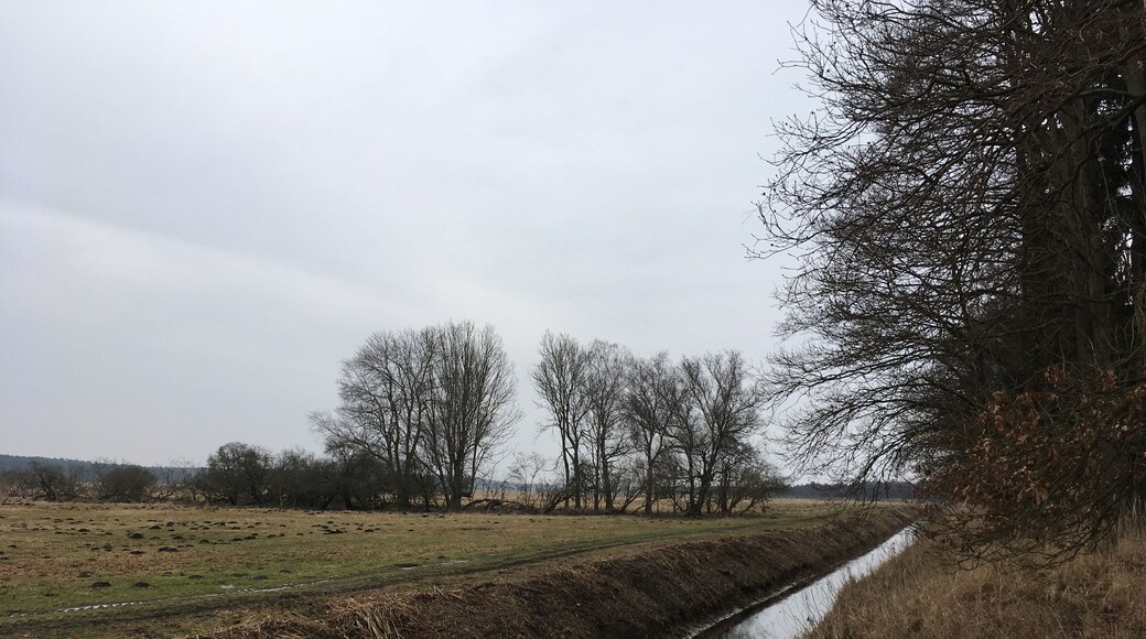 Das Rote Luch ist das größte Niedermoorgebiet in Ostbrandenburg und entstand nach der Letzten Eiszeit