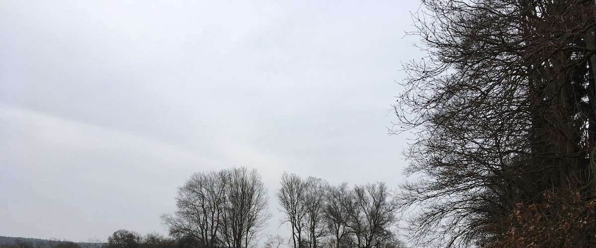 A narrow water channel flanked by leafless trees and a grassy field.