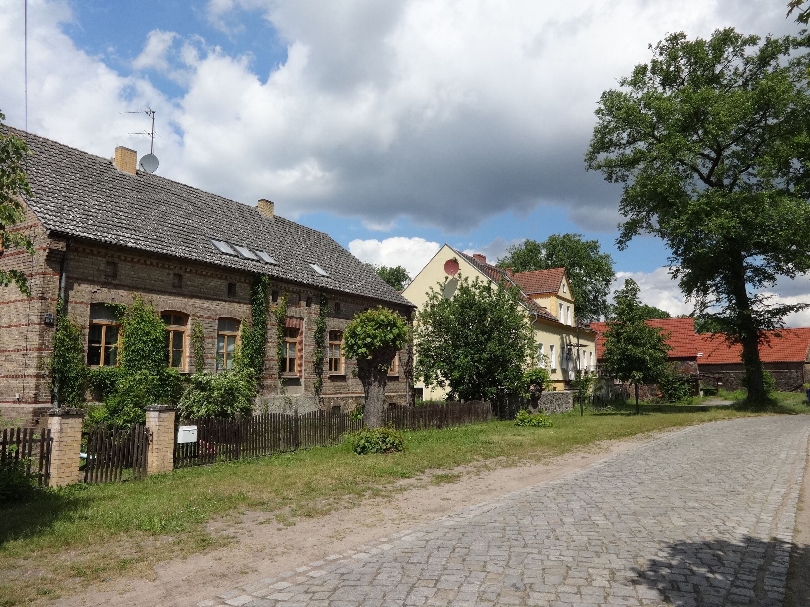 A cobblestone street lined with historic buildings, a wooden fence, and a large tree.
