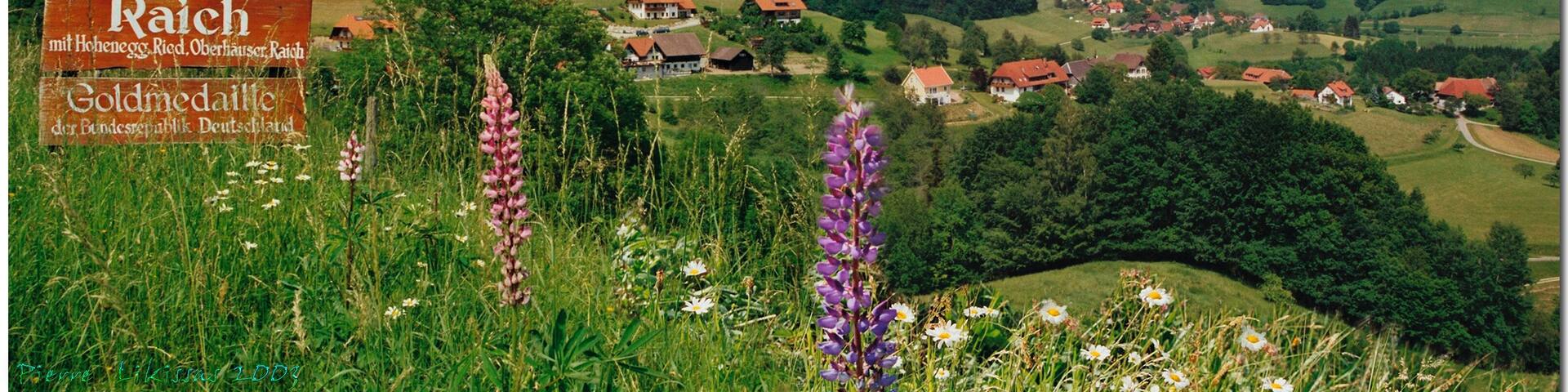 RAICH....Baden-Württemberg