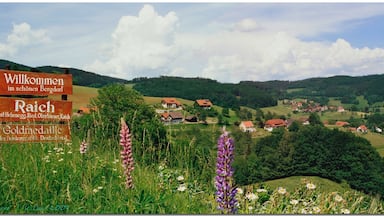 RAICH....Baden-Württemberg