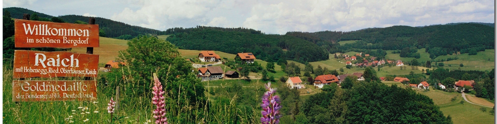 RAICH....Baden-Württemberg