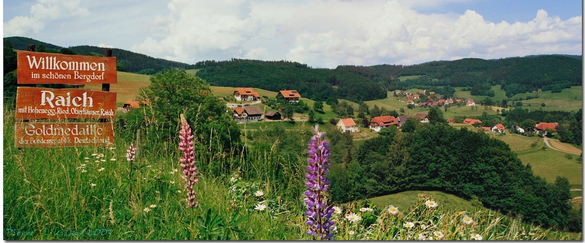 A scenic landscape with a sign welcoming visitors to a region, surrounded by lush greenery and houses.