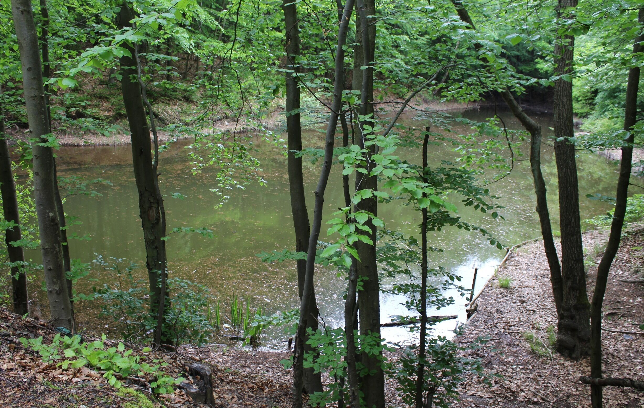 Quierschied, pond nearby power plant "Weiher"