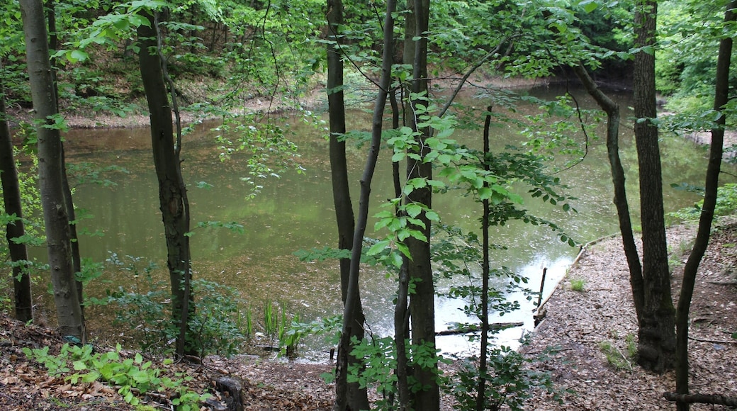 Quierschied, pond nearby power plant "Weiher"