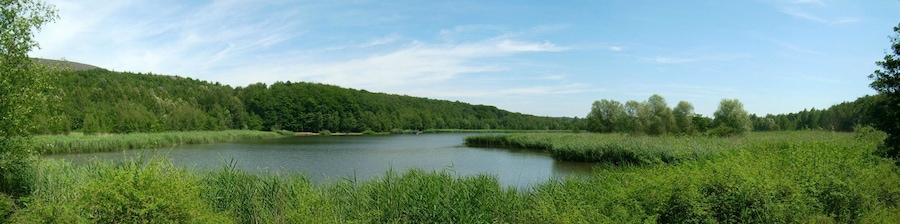 Ein ruhiger See, umgeben von dichtem Wald und einer Hügelkulisse im Hintergrund.