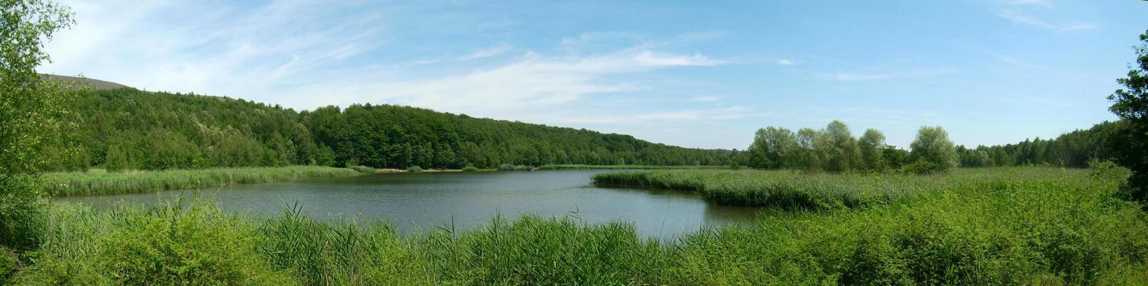 A calm lake surrounded by dense forest and a hill in the background.