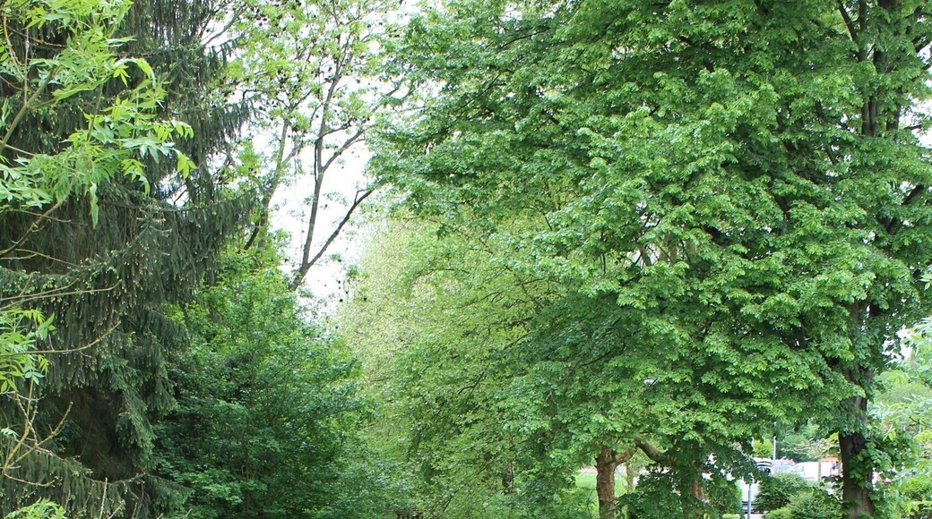 Köllerbach (Püttlingen), the brook Köllerbach